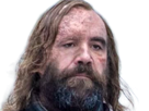 sandor-clegane-limier-chien-cicatrice-brule-game-thrones-agot-serie-rory-mccann-homme-yeux-marrons-cheveux-bruns
