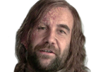 sandor-clegane-limier-chien-cicatrice-brule-game-thrones-agot-serie-rory-mccann-homme-yeux-marrons-cheveux-bruns