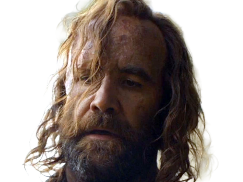 sandor clegane limier chien cicatrice brule game thrones agot serie rory mccann homme yeux-marrons cheveux-bruns