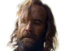 sandor-clegane-limier-chien-cicatrice-brule-game-thrones-agot-serie-rory-mccann-homme-yeux-marrons-cheveux-bruns