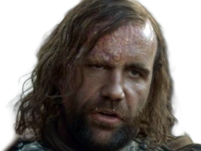 sandor clegane limier chien cicatrice brule game thrones agot serie rory mccann homme yeux-marrons cheveux-bruns