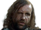 sandor-clegane-limier-chien-cicatrice-brule-game-thrones-agot-serie-rory-mccann-homme-yeux-marrons-cheveux-bruns