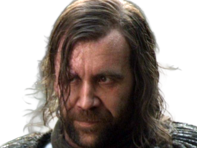 sandor clegane limier chien cicatrice brule game thrones agot serie rory mccann homme yeux-marrons cheveux-bruns