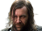 sandor-clegane-limier-chien-cicatrice-brule-game-thrones-agot-serie-rory-mccann-homme-yeux-marrons-cheveux-bruns