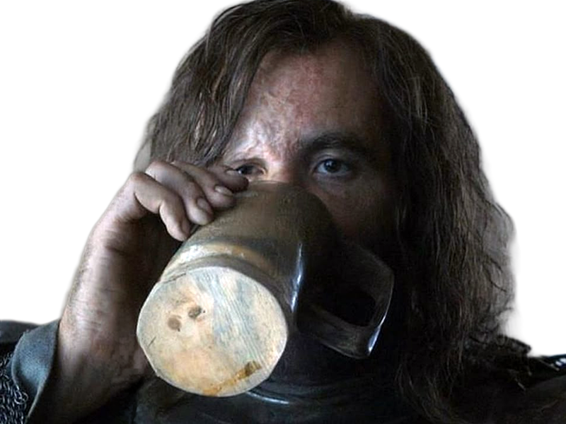 sandor clegane limier chien cicatrice brule game thrones agot serie rory mccann homme yeux-marrons cheveux-bruns