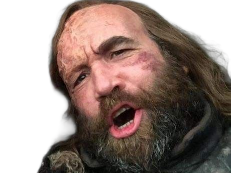 sandor clegane limier chien cicatrice brule game thrones agot serie rory mccann homme yeux-marrons cheveux-bruns
