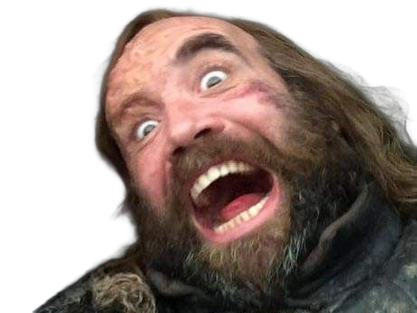 sandor clegane limier chien cicatrice brule game thrones agot serie rory mccann homme yeux-marrons cheveux-bruns