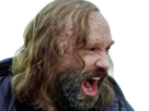 sandor-clegane-limier-chien-cicatrice-brule-game-thrones-agot-serie-rory-mccann-homme-yeux-marrons-cheveux-bruns