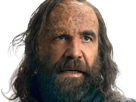 sandor-clegane-limier-chien-cicatrice-brule-game-thrones-agot-serie-rory-mccann-homme-yeux-marrons-cheveux-bruns