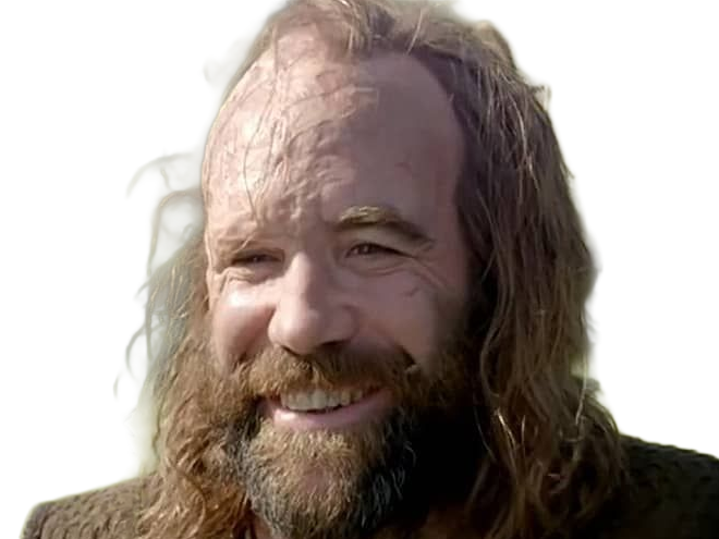 sandor clegane limier chien cicatrice brule game thrones agot serie rory mccann homme yeux-marrons cheveux-bruns