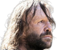 sandor-clegane-limier-chien-cicatrice-brule-game-thrones-agot-serie-rory-mccann-homme-yeux-marrons-cheveux-bruns