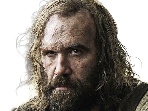 sandor clegane limier chien cicatrice brule game thrones agot serie rory mccann homme yeux-marrons cheveux-bruns