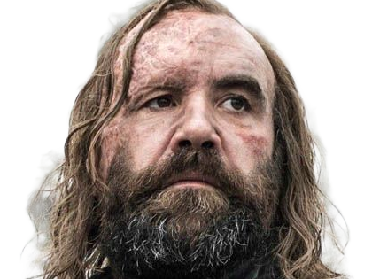 sandor clegane limier chien cicatrice brule game thrones agot serie rory mccann homme yeux-marrons cheveux-bruns