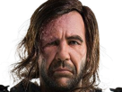 sandor-clegane-limier-chien-cicatrice-brule-game-thrones-agot-serie-rory-mccann-homme-yeux-marrons-cheveux-bruns