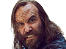 sandor-clegane-limier-chien-cicatrice-brule-game-thrones-agot-serie-rory-mccann-homme-yeux-marrons-cheveux-bruns