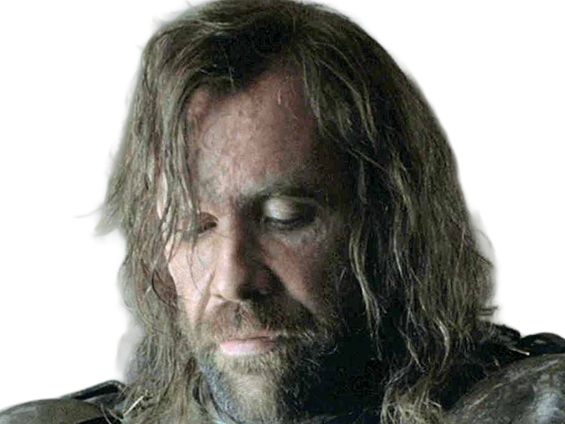 sandor clegane limier chien cicatrice brule game thrones agot serie rory mccann homme yeux-marrons cheveux-bruns