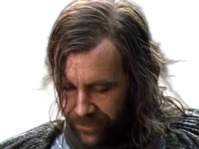 sandor clegane limier chien cicatrice brule game thrones agot serie rory mccann homme yeux-marrons cheveux-bruns