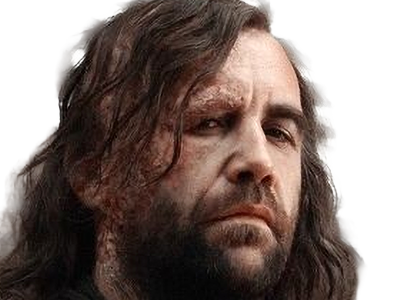 sandor clegane limier chien cicatrice brule game thrones agot serie rory mccann homme yeux-marrons cheveux-bruns