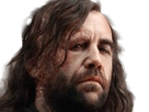 sandor-clegane-limier-chien-cicatrice-brule-game-thrones-agot-serie-rory-mccann-homme-yeux-marrons-cheveux-bruns