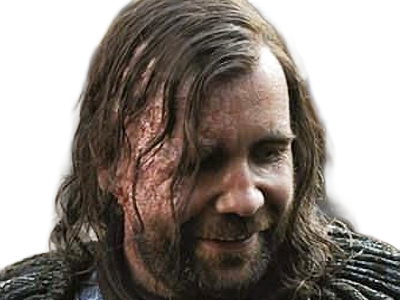 sandor clegane limier chien cicatrice brule game thrones agot serie rory mccann homme yeux-marrons cheveux-bruns