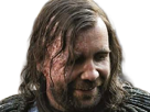 sandor-clegane-limier-chien-cicatrice-brule-game-thrones-agot-serie-rory-mccann-homme-yeux-marrons-cheveux-bruns