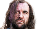 sandor-clegane-limier-chien-cicatrice-brule-game-thrones-agot-serie-rory-mccann-homme-yeux-marrons-cheveux-bruns