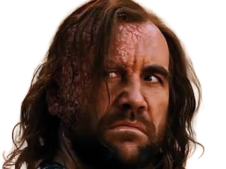 sandor clegane limier chien cicatrice brule game thrones agot serie rory mccann homme yeux-marrons cheveux-bruns