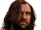sandor-clegane-limier-chien-cicatrice-brule-game-thrones-agot-serie-rory-mccann-homme-yeux-marrons-cheveux-bruns