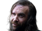 sandor-clegane-limier-chien-cicatrice-brule-game-thrones-agot-serie-rory-mccann-homme-yeux-marrons-cheveux-bruns