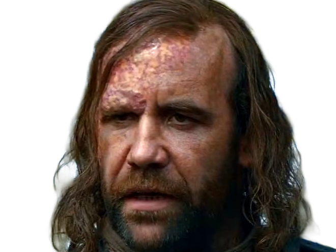 sandor clegane limier chien cicatrice brule game thrones agot serie rory mccann homme yeux-marrons cheveux-bruns