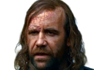 sandor-clegane-limier-chien-cicatrice-brule-game-thrones-agot-serie-rory-mccann-homme-yeux-marrons-cheveux-bruns