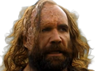 sandor-clegane-limier-chien-cicatrice-brule-game-thrones-agot-serie-rory-mccann-homme-yeux-marrons-cheveux-bruns