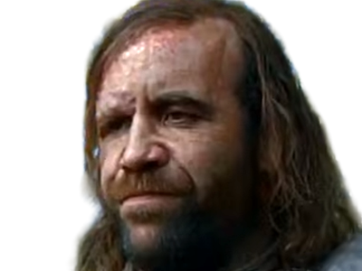 sandor clegane limier chien cicatrice brule game thrones agot serie rory mccann homme yeux-marrons cheveux-bruns