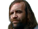 sandor-clegane-limier-chien-cicatrice-brule-game-thrones-agot-serie-rory-mccann-homme-yeux-marrons-cheveux-bruns