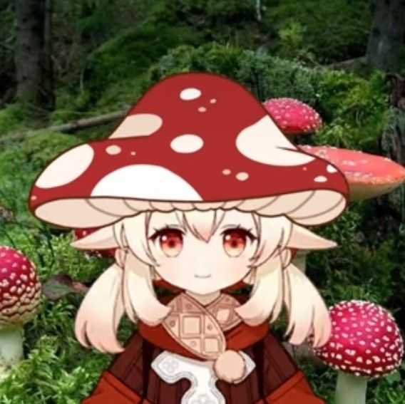 klee champignon genshin impact
