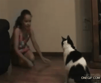 chat claque