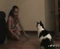 chat-claque