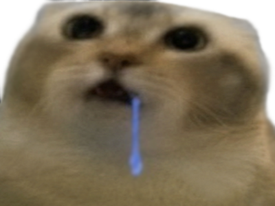 chat qui bave debile