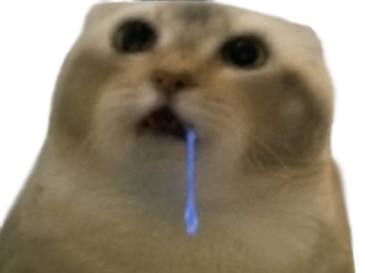chat qui bave debile