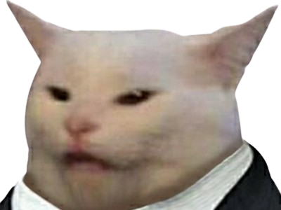 chat tuxedo costard venere enerve sale fils de pte