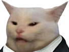 chat-tuxedo-costard-venere-enerve-sale-fils-de-pte-enorme