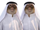 singe-singes-arabe-arabes-emir-qatar-arabie-saoudite-saoudiens-qataris