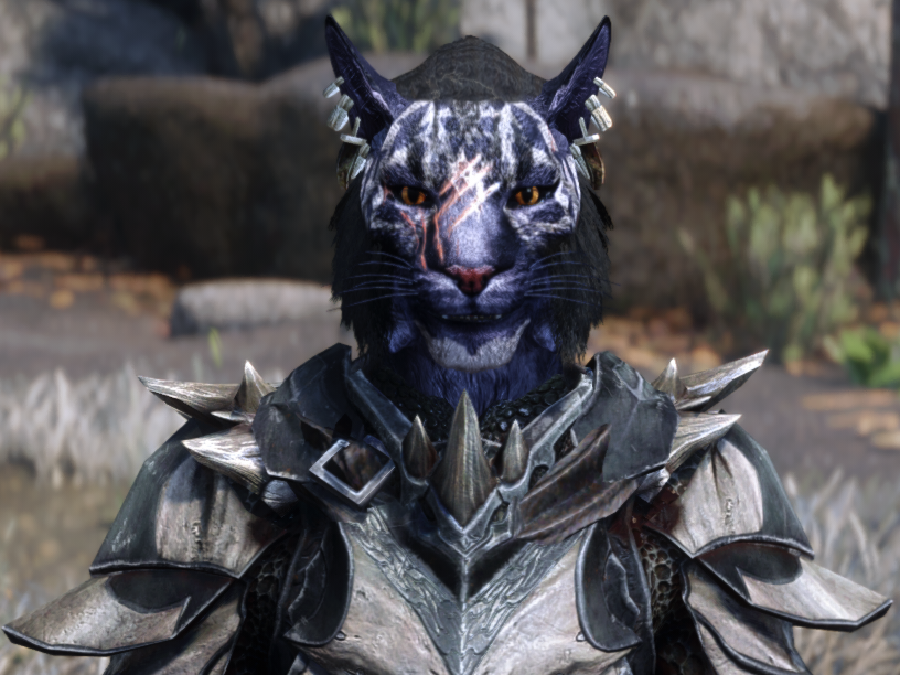 skyrim pnj