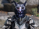 skyrim-pnj