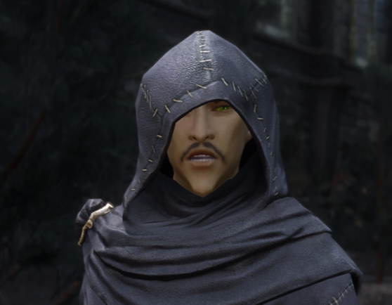 skyrim pnj