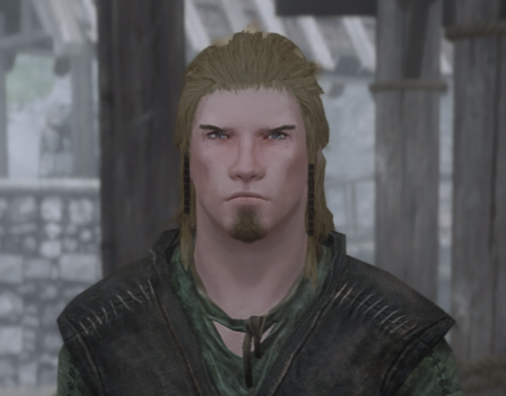 skyrim pnj