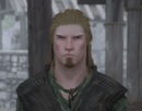 skyrim-pnj