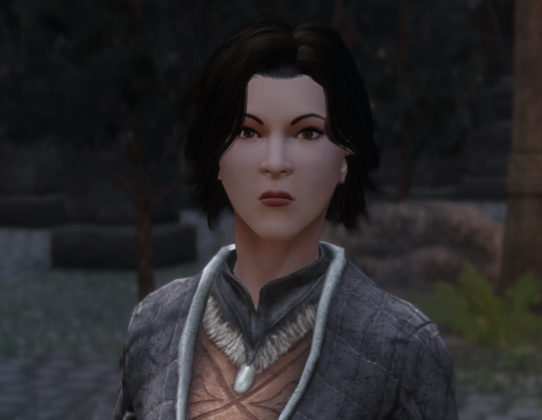skyrim pnj