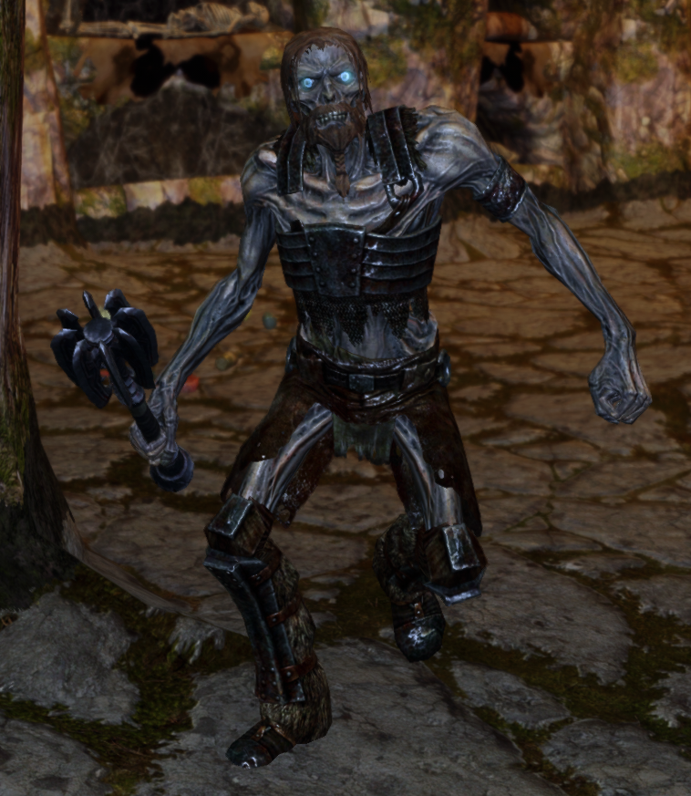skyrim draugr