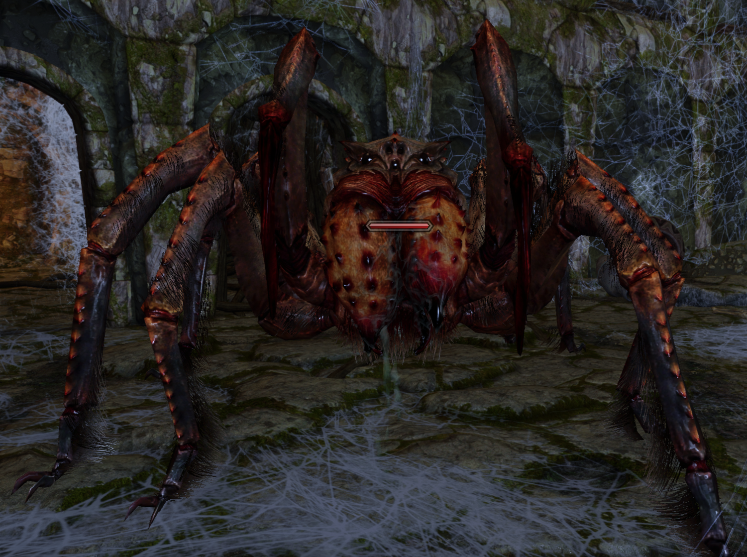 skyrim araignee
